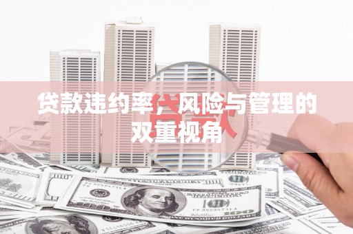 同德贷款违约率，风险与管理的双重视角