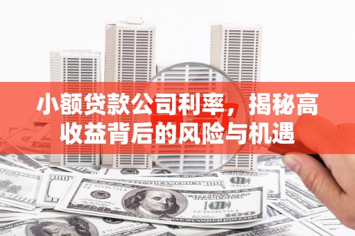 同德小额贷款公司利率，揭秘高收益背后的风险与机遇
