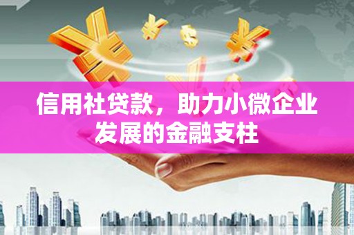 同德信用社贷款，助力小微企业发展的金融支柱