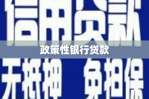 同德政策性银行贷款