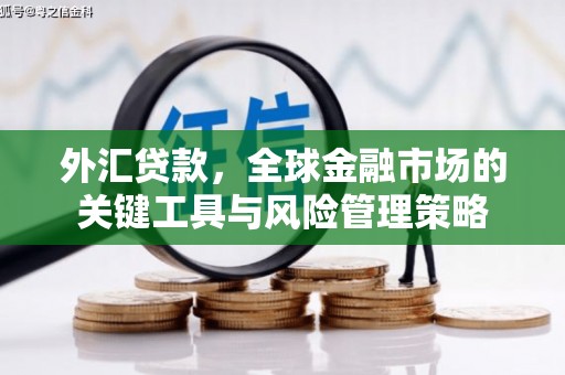 同德外汇贷款，全球金融市场的关键工具与风险管理策略