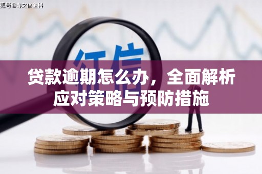 同德贷款逾期怎么办，全面解析应对策略与预防措施