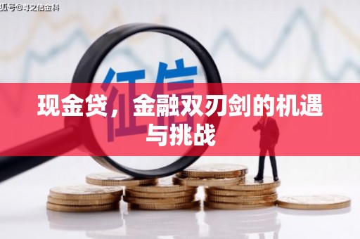 同德现金贷，金融双刃剑的机遇与挑战