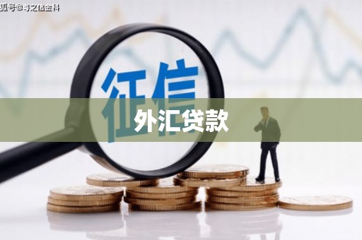 同德外汇贷款