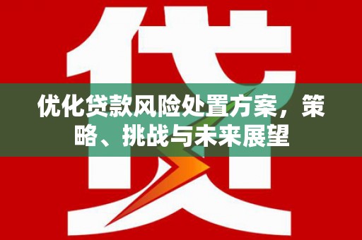 同德优化贷款风险处置方案，策略、挑战与未来展望