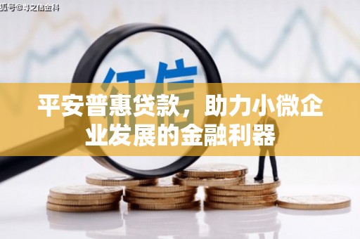 同德平安普惠贷款，助力小微企业发展的金融利器