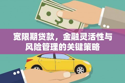 同德宽限期贷款，金融灵活性与风险管理的关键策略