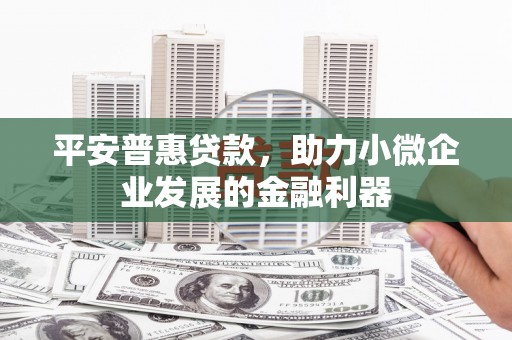 同德平安普惠贷款，助力小微企业发展的金融利器