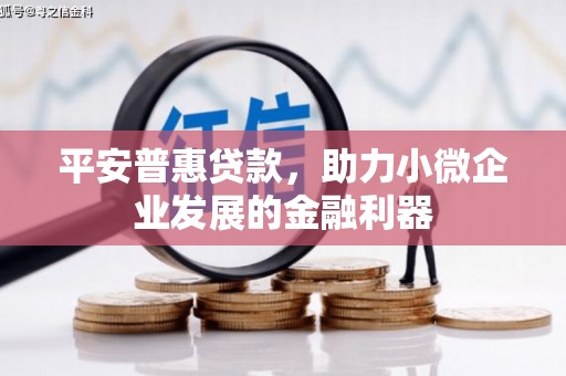 同德平安普惠贷款，助力小微企业发展的金融利器