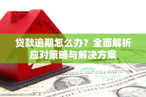 同德贷款逾期怎么办？全面解析应对策略与解决方案