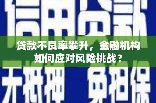 同德贷款不良率攀升，金融机构如何应对风险挑战？