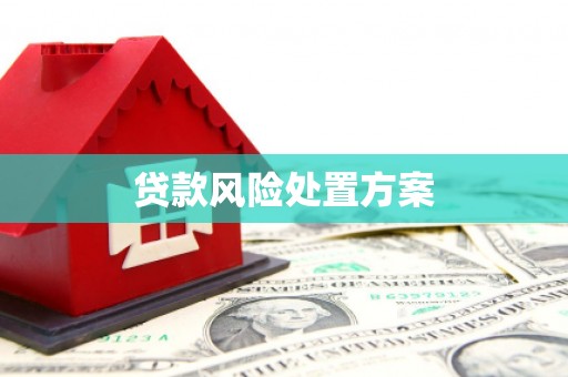 同德贷款风险处置方案