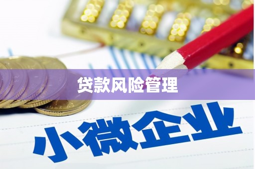同德贷款风险管理