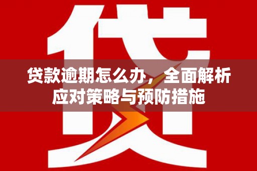 同德贷款逾期怎么办，全面解析应对策略与预防措施