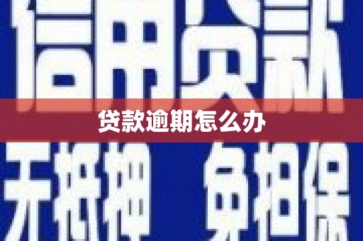 同德贷款逾期怎么办