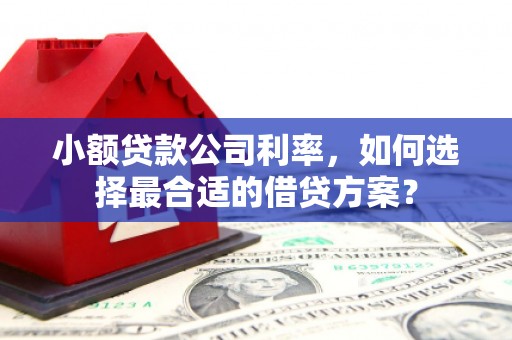 同德小额贷款公司利率，如何选择最合适的借贷方案？