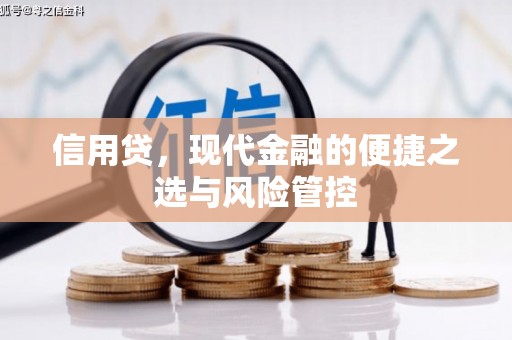 同德信用贷，现代金融的便捷之选与风险管控