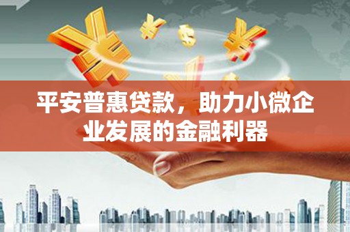 同德平安普惠贷款，助力小微企业发展的金融利器