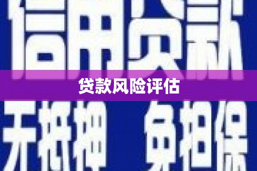 同德贷款风险评估