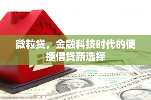 同德微粒贷，金融科技时代的便捷借贷新选择