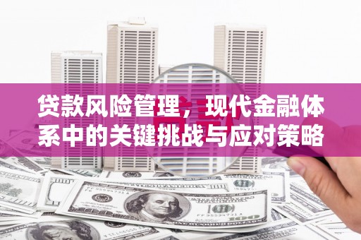 同德贷款风险管理，现代金融体系中的关键挑战与应对策略
