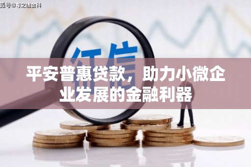 同德平安普惠贷款，助力小微企业发展的金融利器