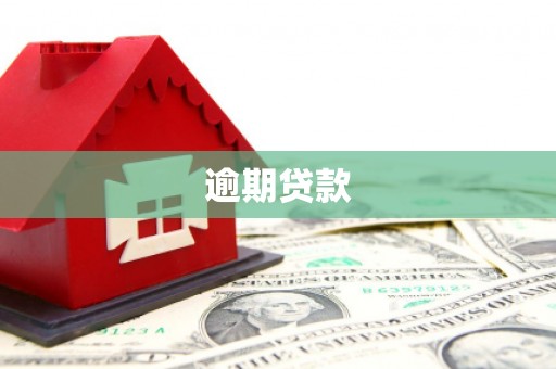 同德逾期贷款