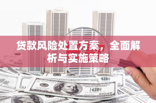 同德贷款风险处置方案，全面解析与实施策略