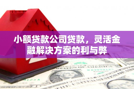 同德小额贷款公司贷款，灵活金融解决方案的利与弊